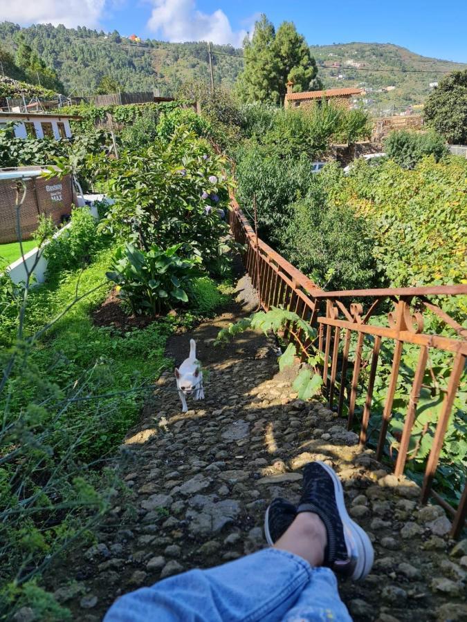 איקוד דה לוס וינוס Los Huertos Conect With The Nature & Relax מראה חיצוני תמונה